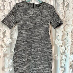 Elegant & Curvy Office Dress